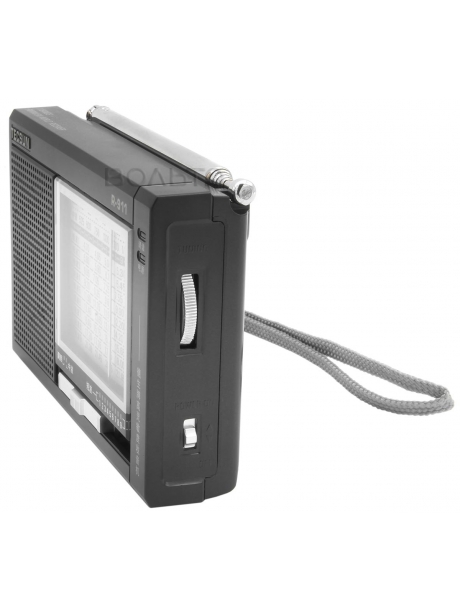 карманный мини радиоприемник Tecsun R-911 black