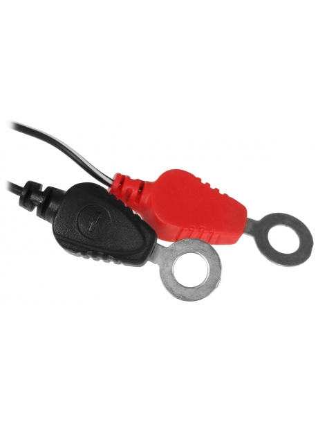 зарядное устройство Robiton MotorCharger 612 