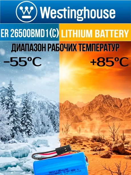батарейка 3.6 В с коннектором Dupont 2,54 (BLS-2) Westinghouse ER 26500BMD1 (C) connector 
