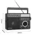 Переносной радиоприемник с MP3 плеером Retekess TR629 