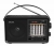 портативный радиоприемник XHDATA D-901 black